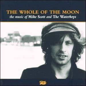 Whole of the Moon: Best of