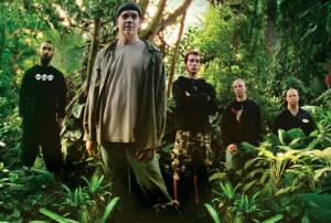 Devin townsend band