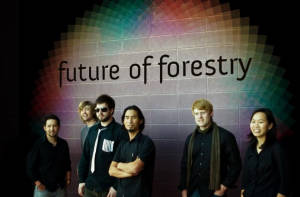 Future of forestry