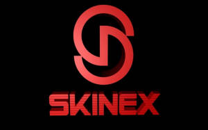 SkiNex