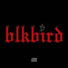 BlkBird