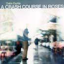 A Crash Course In Roses