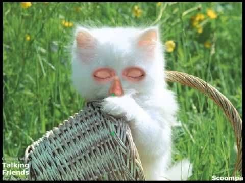 Gatos Feios (EP)
