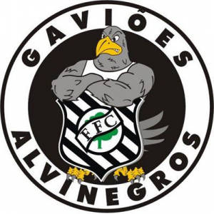Gaviões Alvinegros