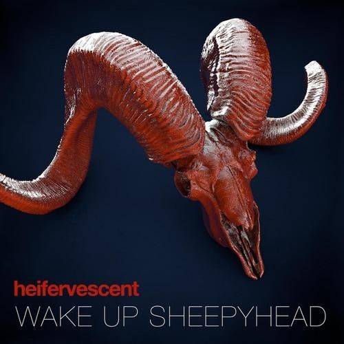 Wake Up Sheepyhead